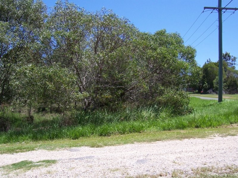 49 TIMOTHY ST, Macleay Island QLD 4184