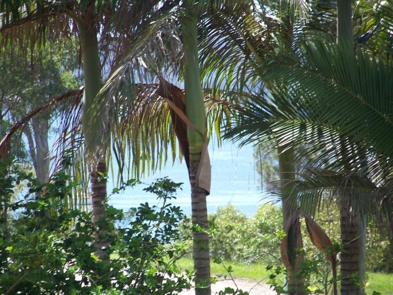 43 Scarborough Tce, Macleay Island QLD 4184