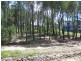 43 Scarborough Tce, Macleay Island QLD 4184