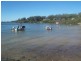 16 Dalpura Street, Macleay Island QLD 4184