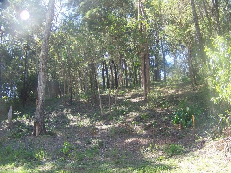 16 Boat Harbour Ave, Macleay Island QLD 4184