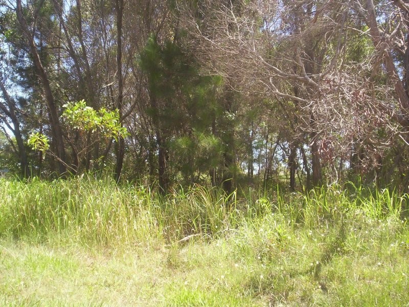 11 Cooee St, Macleay Island QLD 4184