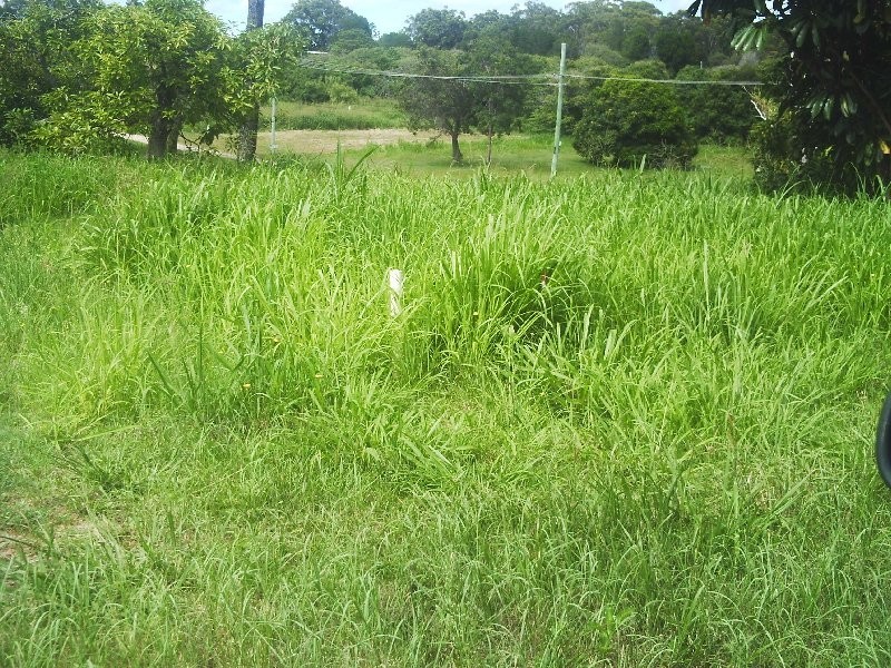 12 Miriam St, Russell Island QLD 4184