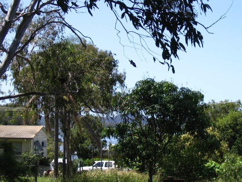 19 Lucas Drive, Lamb Island QLD 4184