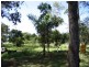 19 Lucas Drive, Lamb Island QLD 4184