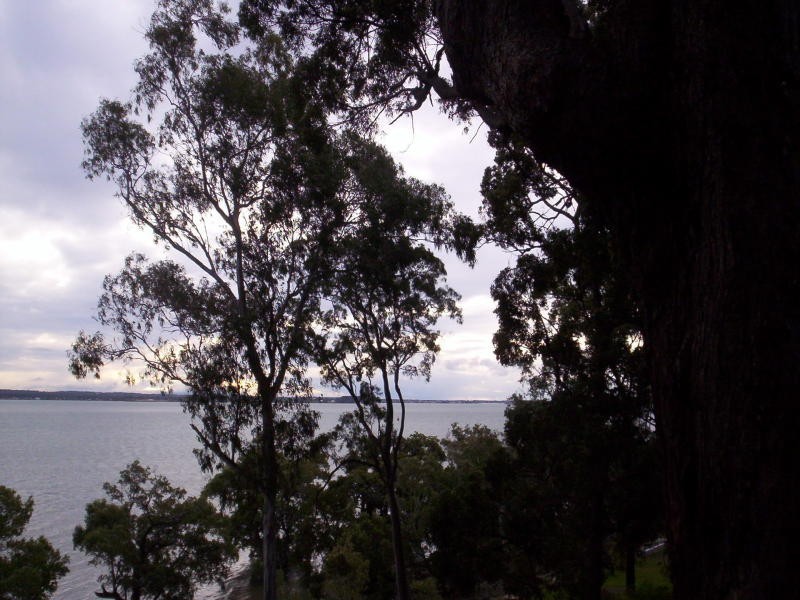 13 Coast Road, Macleay Island QLD 4184