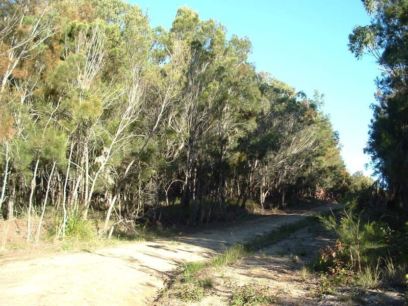 25 Beacon Drive, Russell Island QLD 4184