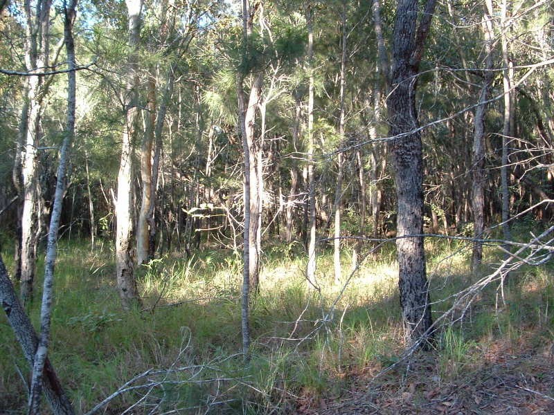 25 Beacon Drive, Russell Island QLD 4184