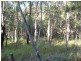25 Beacon Drive, Russell Island QLD 4184