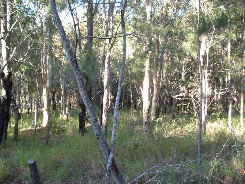 25 Beacon Drive, Russell Island QLD 4184