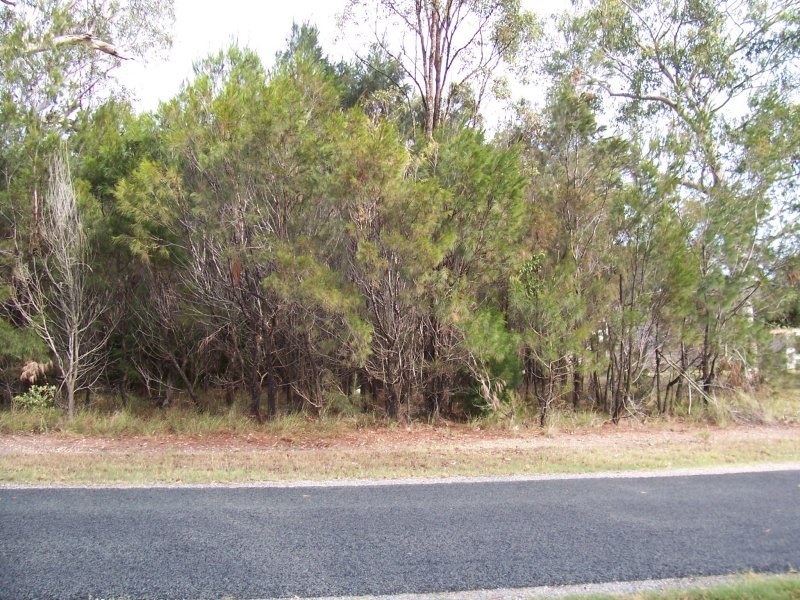 19 PELICAN ST, Macleay Island QLD 4184