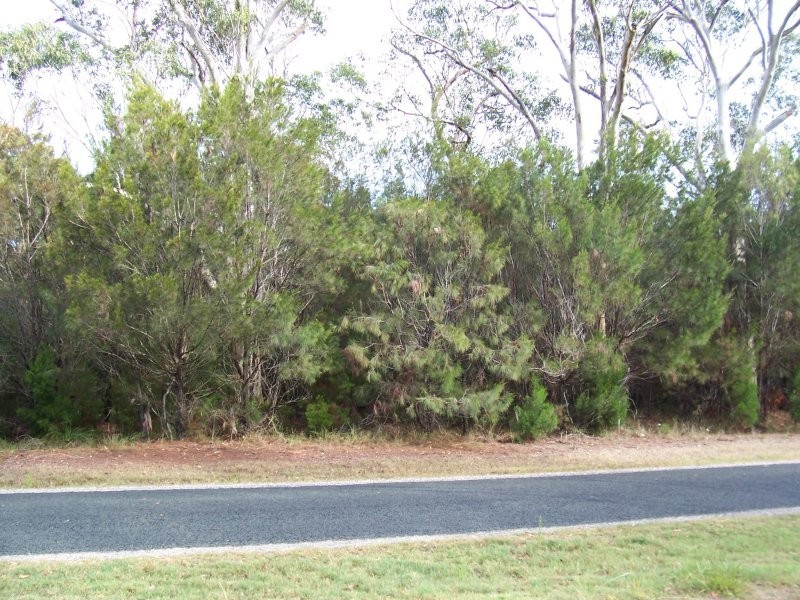 17 PELICAN ST, Macleay Island QLD 4184