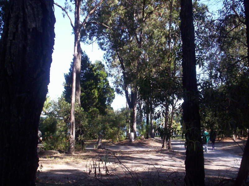 24 Kalara Street, Macleay Island QLD 4184