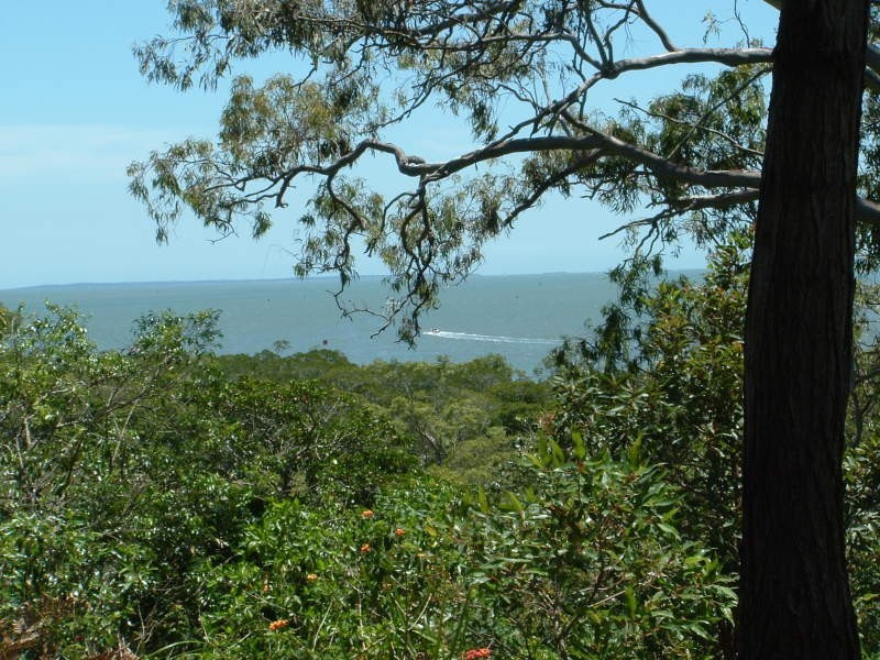 31 Patterson Street, Russell Island QLD 4184