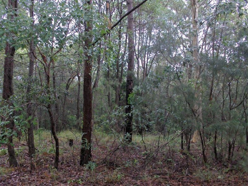 28 TAYLOR ST, Russell Island QLD 4184
