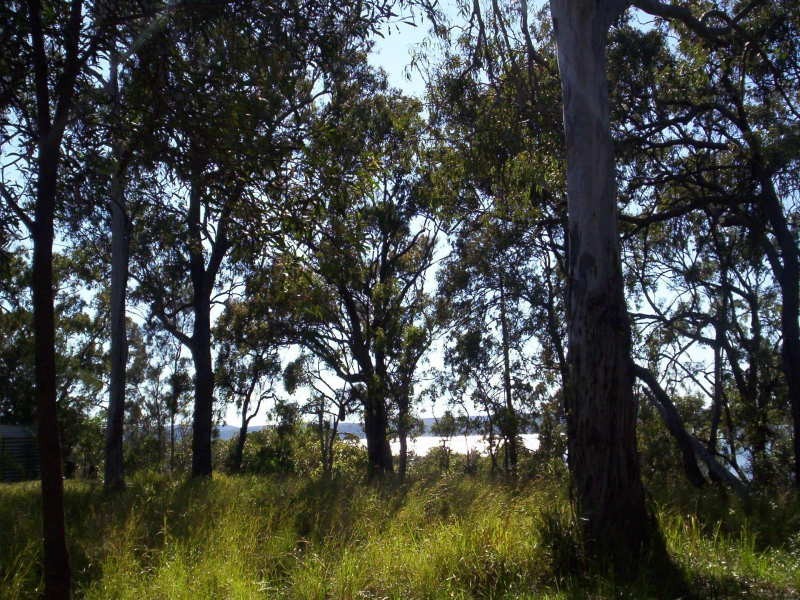 19 Blue Bay Crescent, Macleay Island QLD 4184