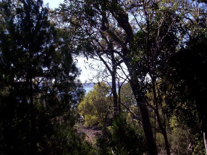 19 Blue Bay Crescent, Macleay Island QLD 4184