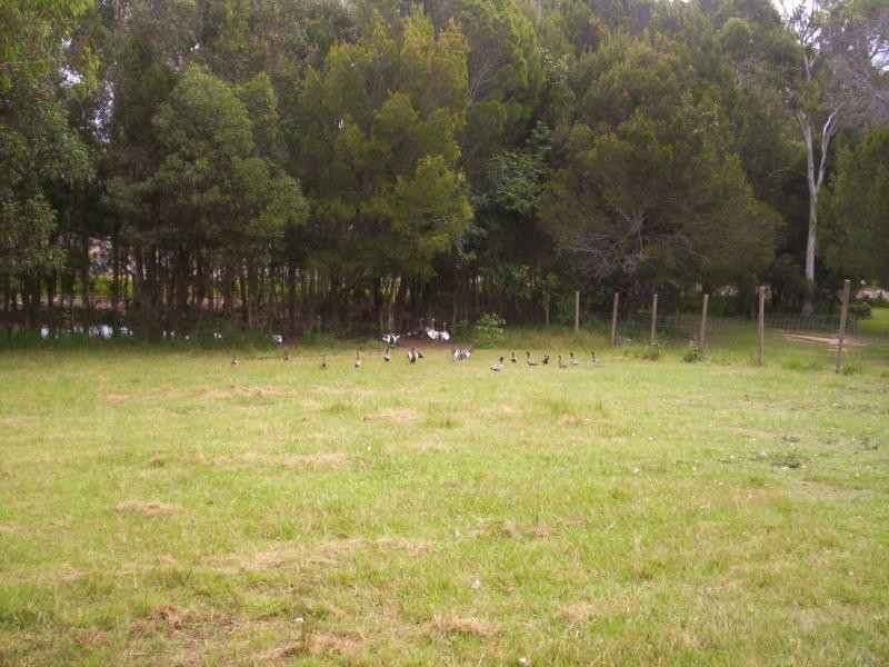 136 High Central Road, Macleay Island QLD 4184