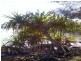 4 AZURE Ct, Lamb Island QLD 4184