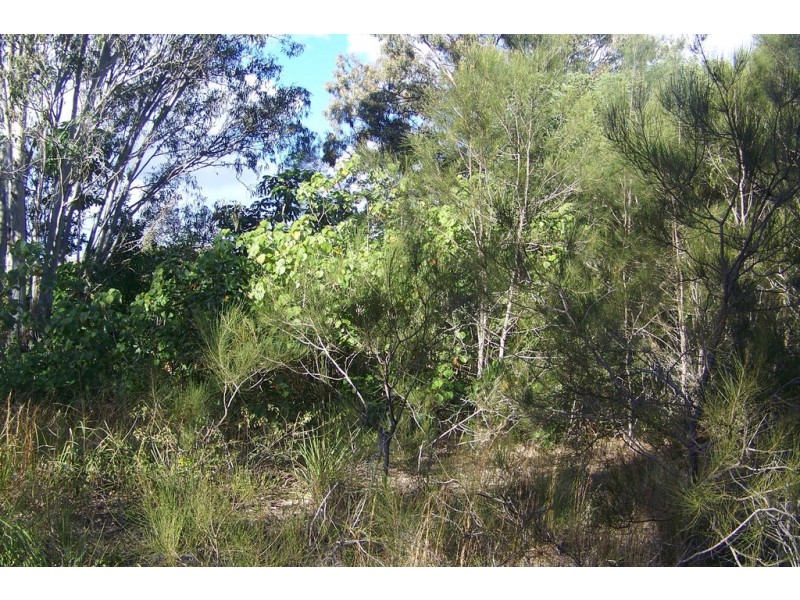 4 AZURE Ct, Lamb Island QLD 4184