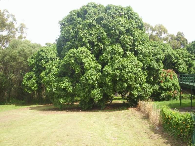 7 Michael Street, Macleay Island QLD 4184