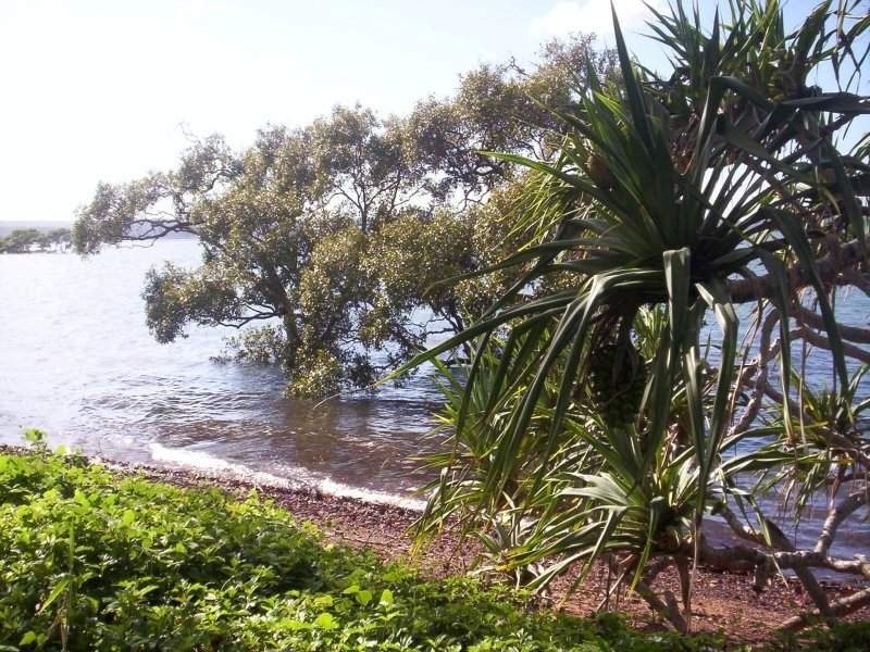 10 Coorong Street, Macleay Island QLD 4184