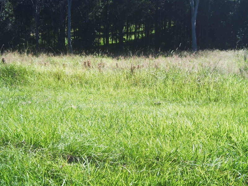 69-71 High Central Road, Macleay Island QLD 4184