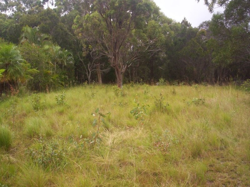 12 Alistair Court, Macleay Island QLD 4184