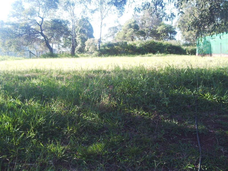 Macleay Island QLD 4184