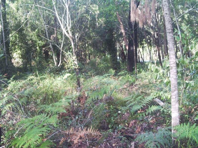 9 Kate Street, Macleay Island QLD 4184