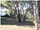 23 Timothy Street, Macleay Island QLD 4184