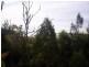 19 Coorong Street, Macleay Island QLD 4184