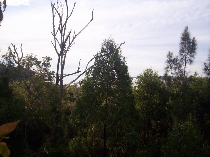 19 Coorong Street, Macleay Island QLD 4184