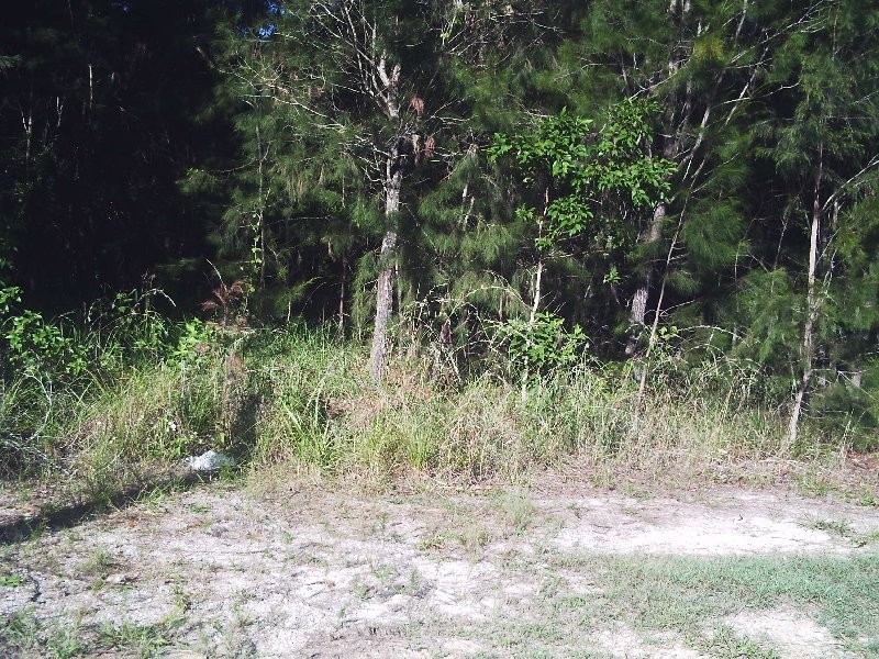 8 President Terrace, Macleay Island QLD 4184