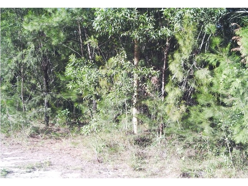 8 President Terrace, Macleay Island QLD 4184