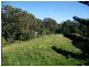 31 Pier Haven, Lamb Island QLD 4184