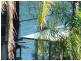 31 Pier Haven, Lamb Island QLD 4184