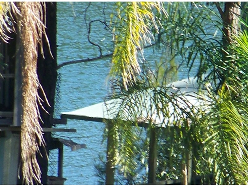 31 Pier Haven, Lamb Island QLD 4184