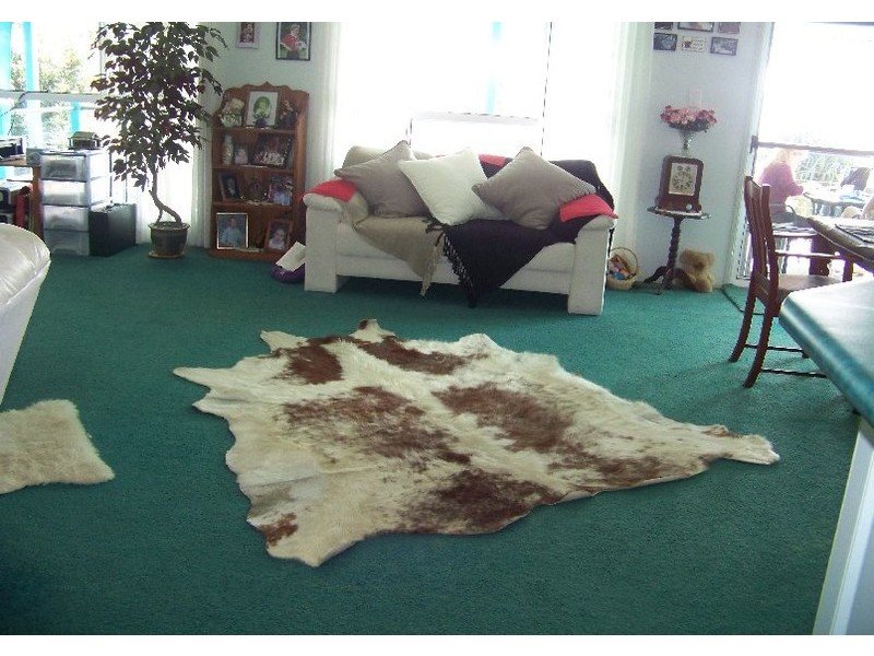 19 Coondooroopa Drive, Macleay Island QLD 4184