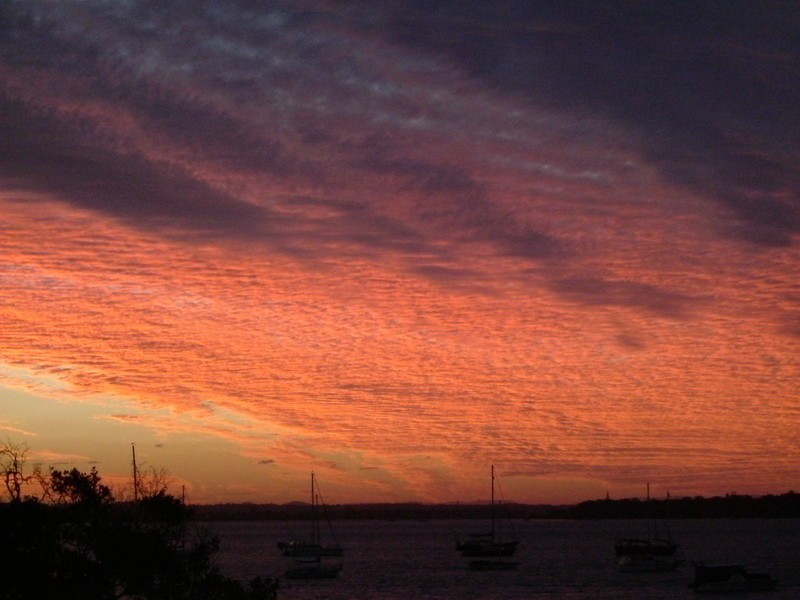 19 Coondooroopa Drive, Macleay Island QLD 4184