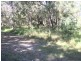 17 NOOGIE ST, Macleay Island QLD 4184