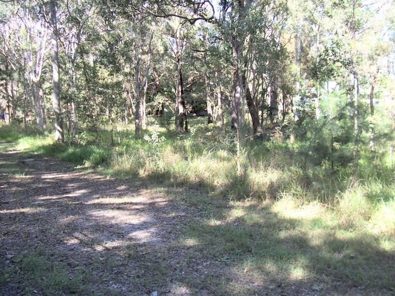 17 NOOGIE ST, Macleay Island QLD 4184