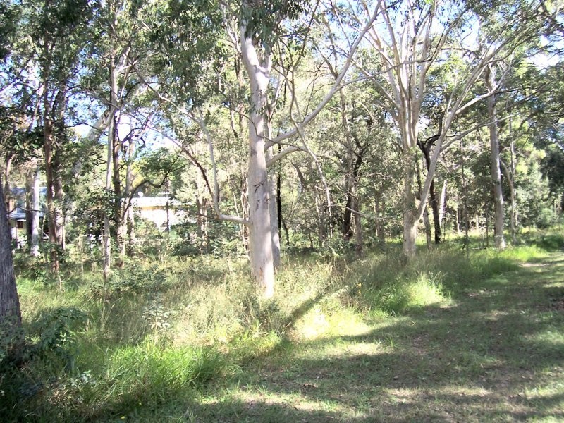 17 NOOGIE ST, Macleay Island QLD 4184