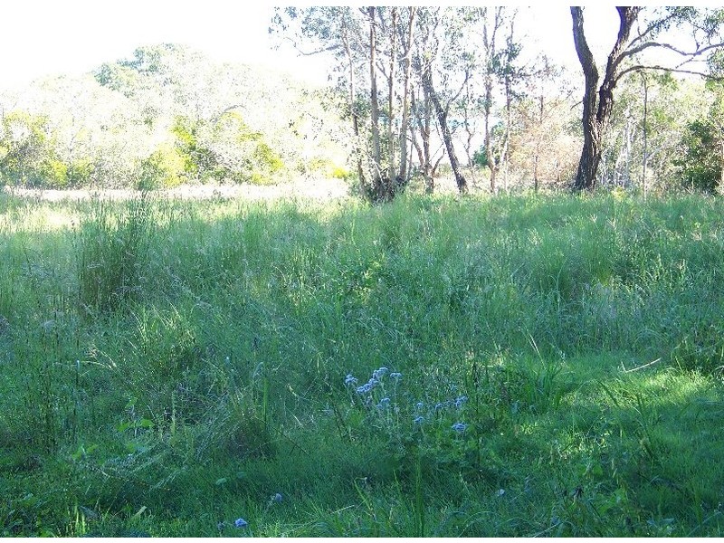 50 Charles Terrace, Macleay Island QLD 4184