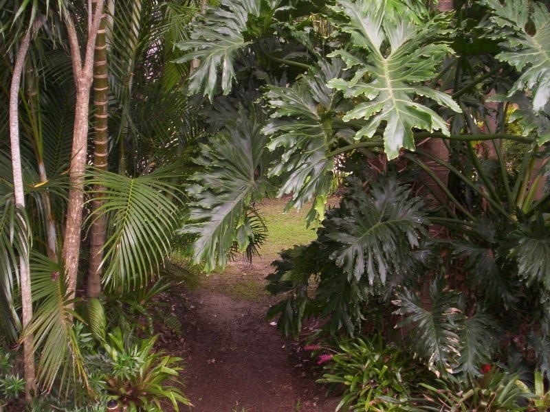 12 ORANA ST, Macleay Island QLD 4184