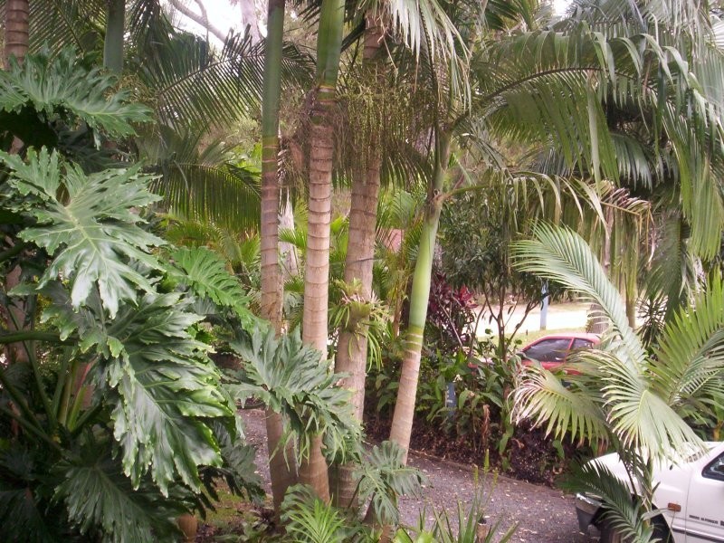 12 ORANA ST, Macleay Island QLD 4184