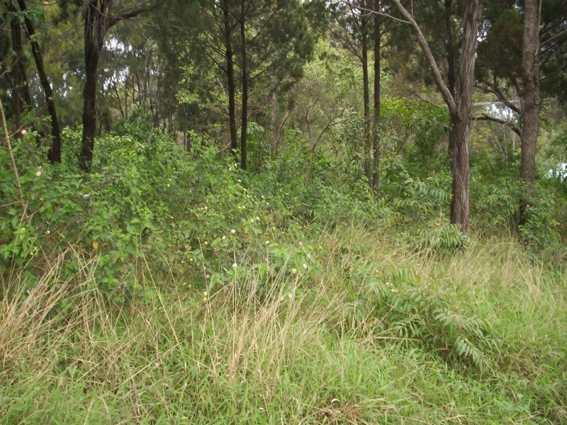 152 High Central Rd, Macleay Island QLD 4184