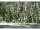 31 Kardinia Street, Macleay Island QLD 4184