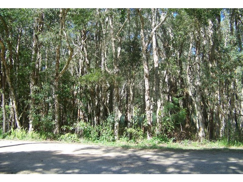 31 Kardinia Street, Macleay Island QLD 4184