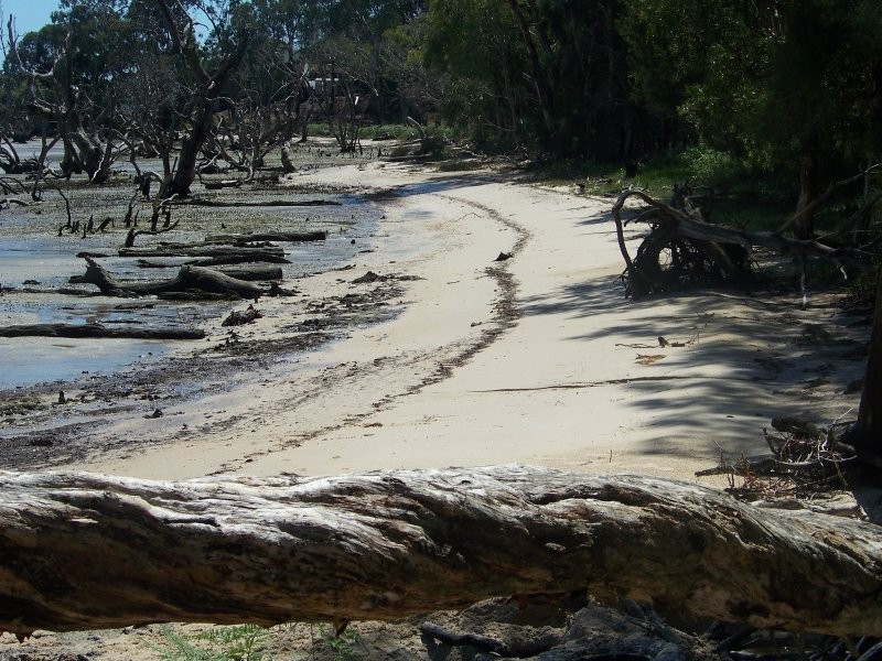 54 Coast Rd, Macleay Island QLD 4184